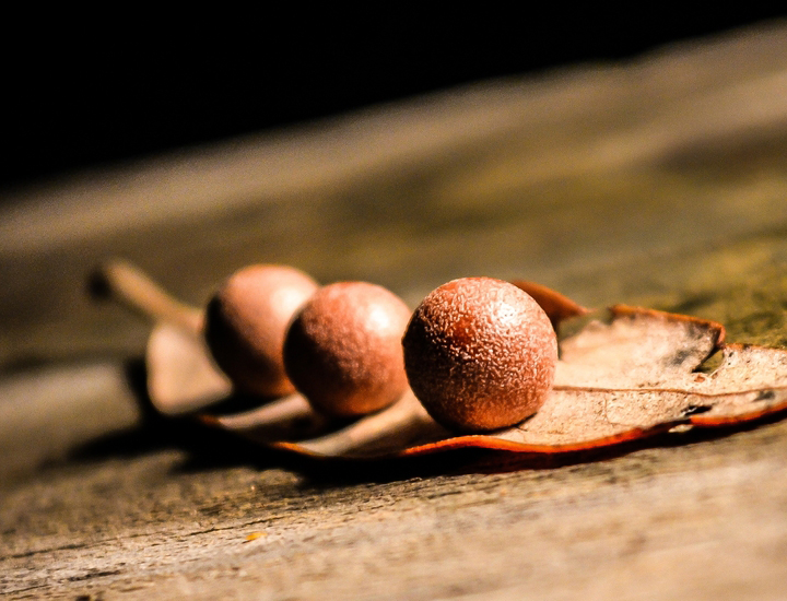 DDOS压力测试网页端